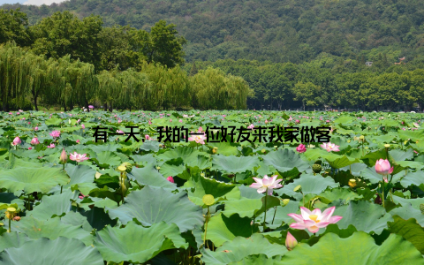 有一天, 我的一位好友来我家做客