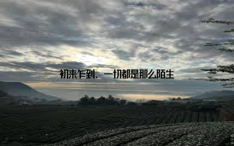 初来乍到, 一切都是那么陌生