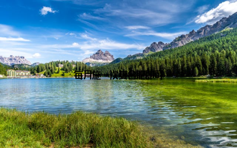 每月施一次复合肥即可