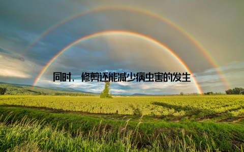 同时, 修剪还能减少病虫害的发生