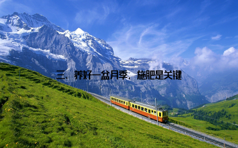 三、养好一盆月季, 施肥是关键