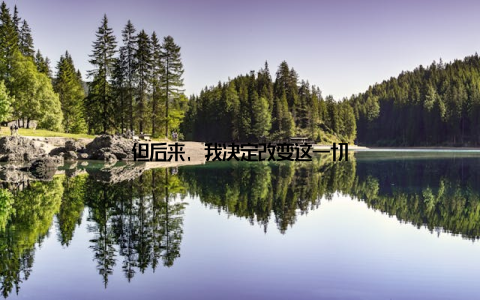 但后来, 我决定改变这一切