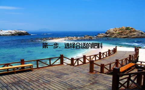 第一步, 选择合适的肥料