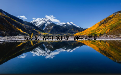 我发现, 养花其实也是一种生活态度