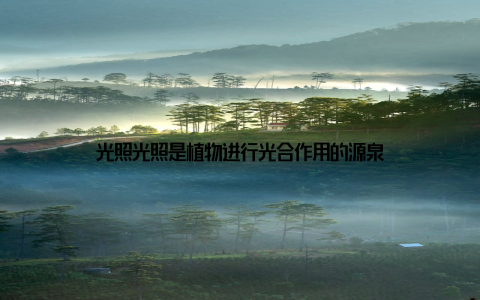 光照光照是植物进行光合作用的源泉