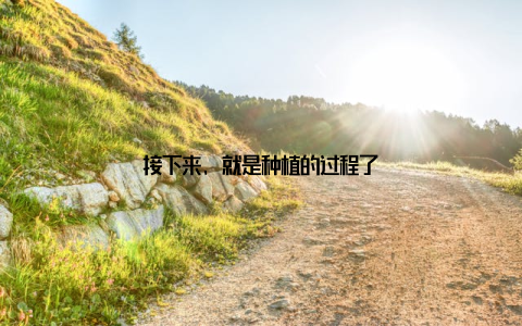 接下来, 就是种植的过程了