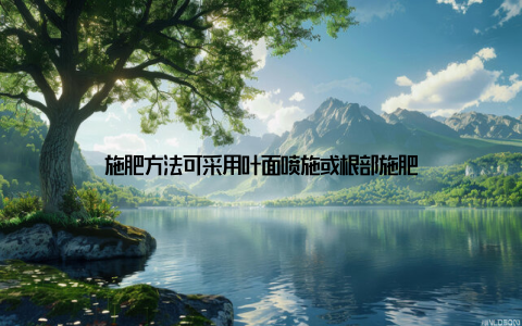 施肥方法可采用叶面喷施或根部施肥