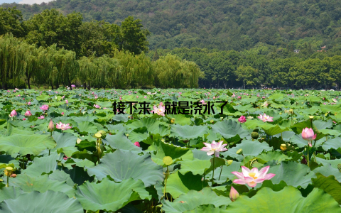 接下来, 就是浇水了