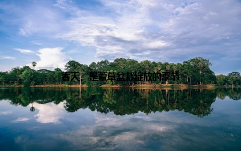 春天, 是萱草盆栽绽放的季节