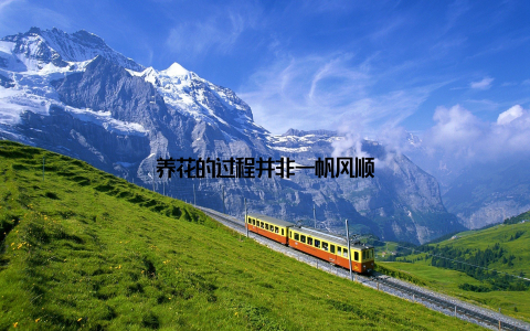 养花的过程并非一帆风顺