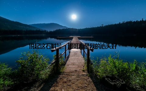 说起这石斛兰, 那可真是我的心头好