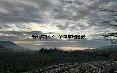 我给它起了一个名字绿精灵