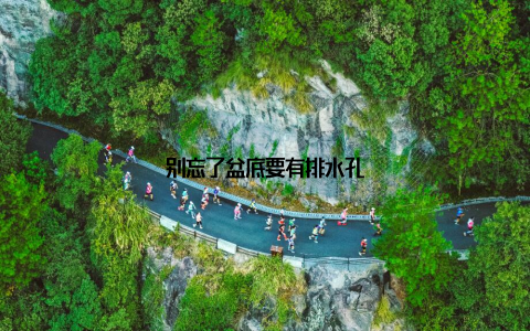 别忘了盆底要有排水孔