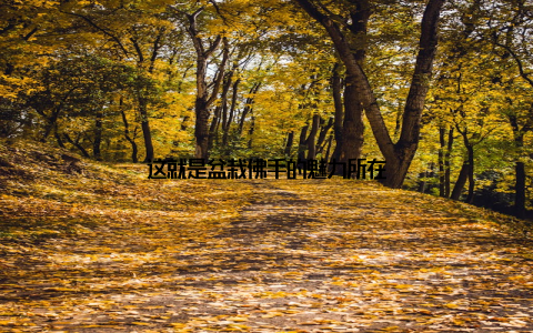 这就是盆栽佛手的魅力所在