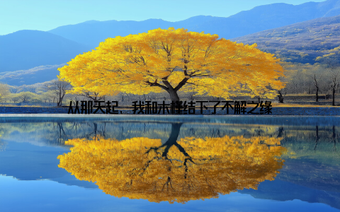 从那天起, 我和木槿结下了不解之缘