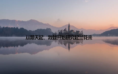 从那天起, 我就开始研究起兰花来