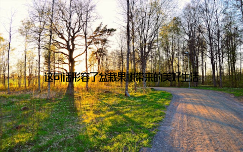 这句话形容了盆栽果树带来的美好生活