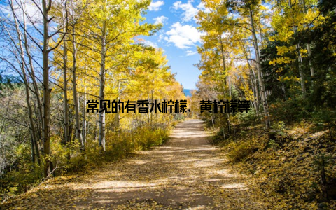 常见的有香水柠檬、黄柠檬等