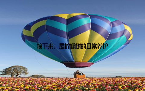 接下来, 是柠檬树的日常养护