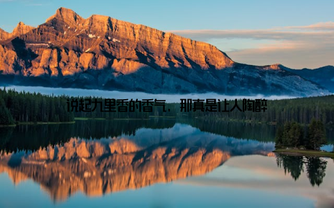 说起九里香的香气, 那真是让人陶醉