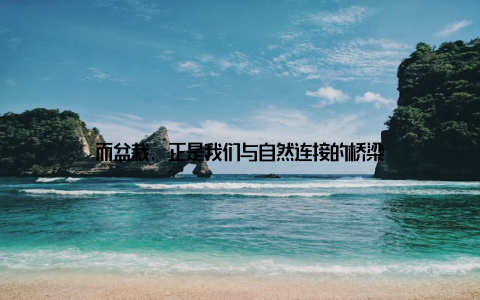 而盆栽, 正是我们与自然连接的桥梁