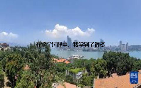 在这个过程中, 我学到了很多
