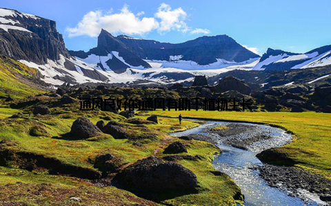通风良好的通风有助于植物生长