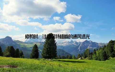 修剪时, 注意保持植株的通风透光