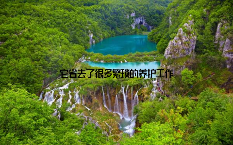 它省去了很多繁琐的养护工作