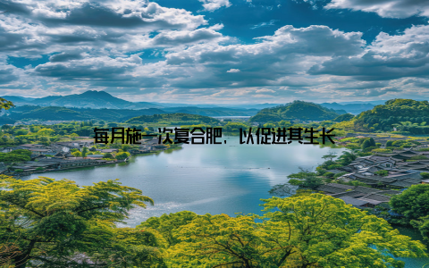 每月施一次复合肥, 以促进其生长