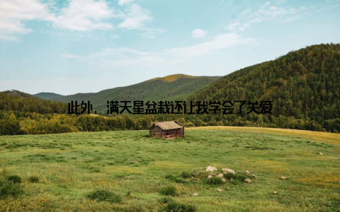 此外, 满天星盆栽还让我学会了关爱