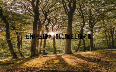 在养护过程中, 耐心和细心是关键