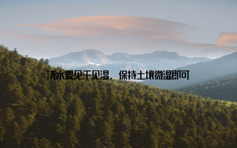 浇水要见干见湿, 保持土壤微湿即可