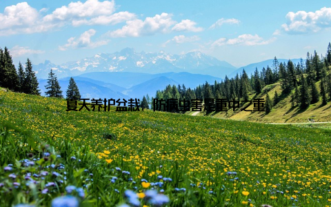 夏天养护盆栽, 防病虫害是重中之重