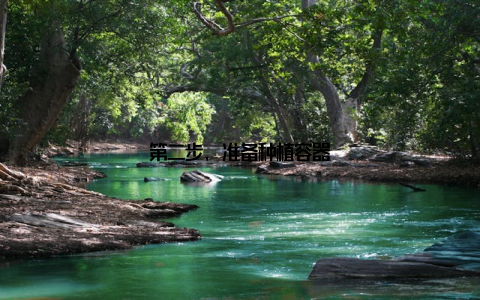 第二步, 准备种植容器
