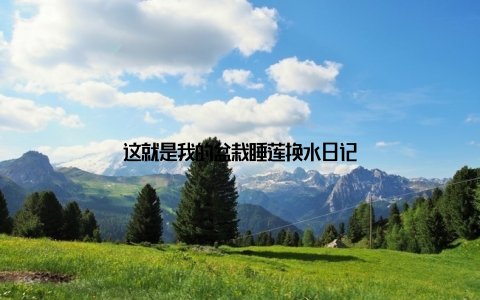 这就是我的盆栽睡莲换水日记