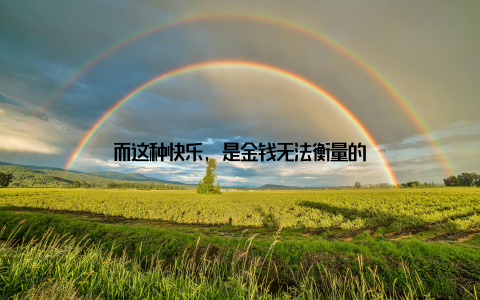 而这种快乐, 是金钱无法衡量的