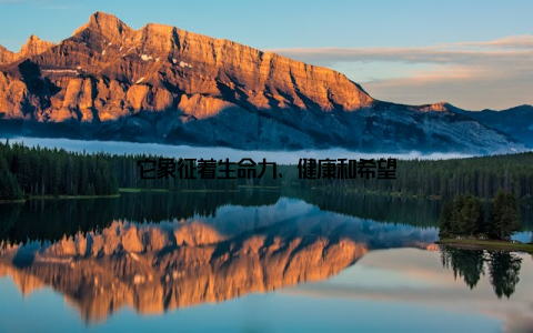 它象征着生命力、健康和希望