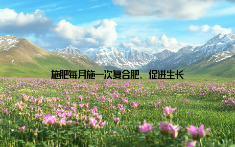 施肥每月施一次复合肥, 促进生长