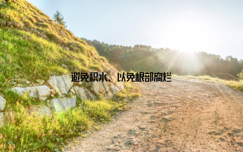 避免积水, 以免根部腐烂