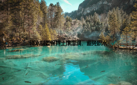 浇水时要保持土壤湿润, 避免积水