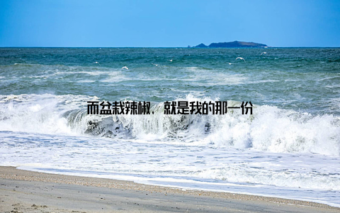 而盆栽辣椒, 就是我的那一份