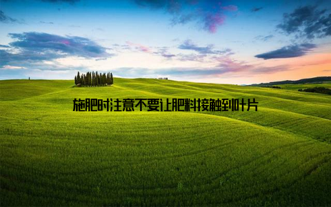 施肥时注意不要让肥料接触到叶片