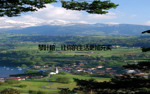 琴叶榕, 让你的生活更加充实