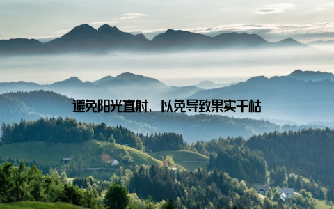 避免阳光直射, 以免导致果实干枯