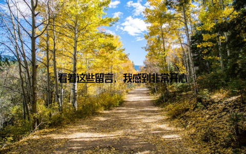 看着这些留言, 我感到非常开心