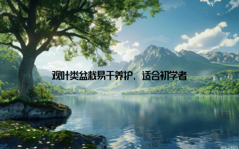 观叶类盆栽易于养护, 适合初学者