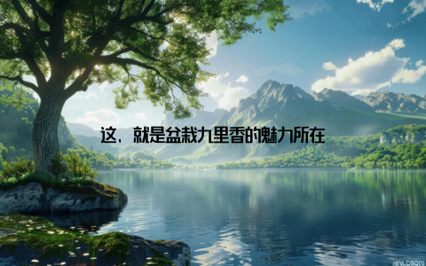 这, 就是盆栽九里香的魅力所在