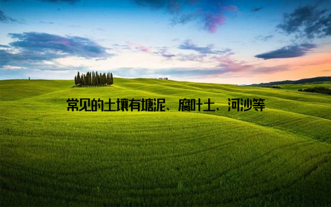 常见的土壤有塘泥、腐叶土、河沙等