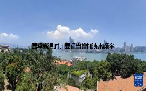 夏季高温时, 要适当增加浇水频率
